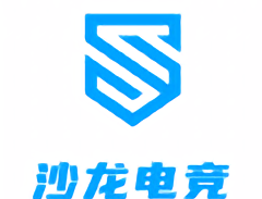 沙龙电竞软件