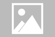 拍照翻译器手机版